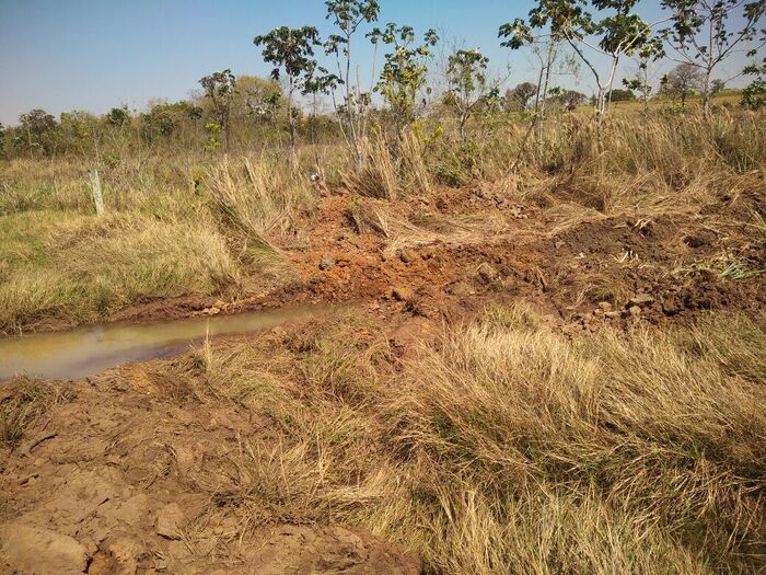 Pecuarista é multado em R 5 mil por construir drenos ilegais em área