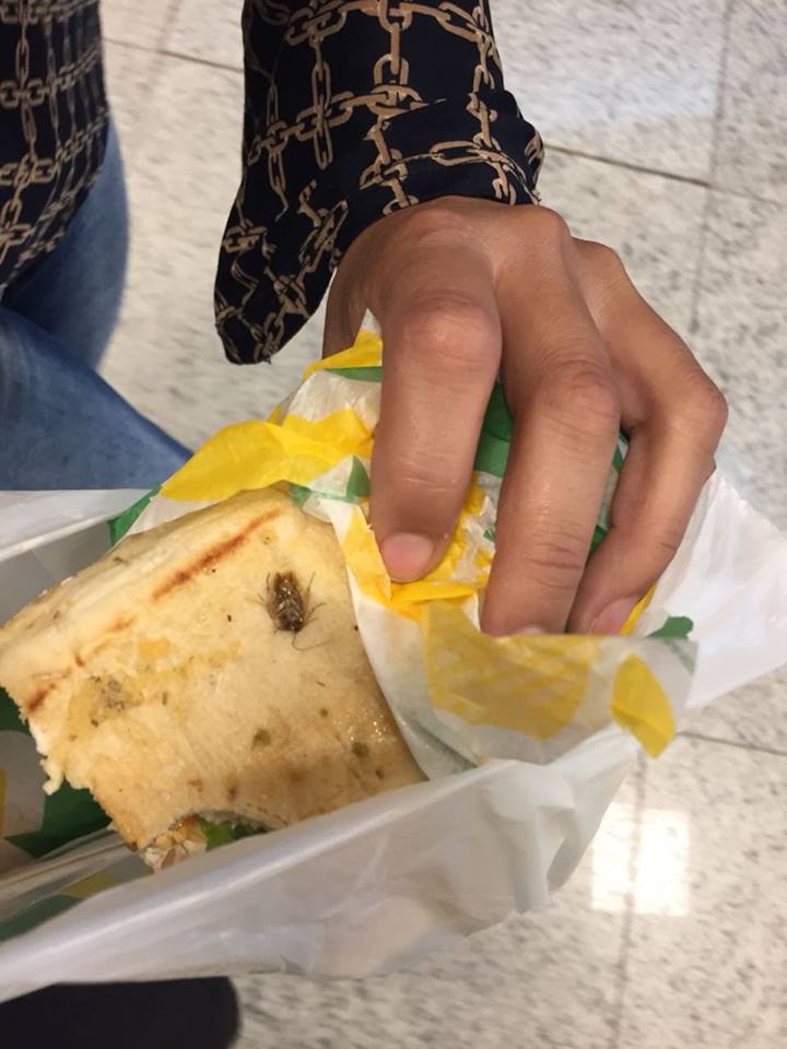 Cliente encontra barata em lanche da Subway em shopping da Capital Portal TOP Mídia News