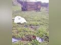 Vítima fatal foi arremessada para fora do veículo.