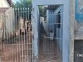 A preserva&ccedil;&atilde;o da cena do crime foi prejudicada pela movimenta&ccedil;&atilde;o de familiares durante atendimento &agrave; v&iacute;tima.