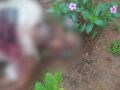 Moradora ouviu disparos durante a noite e encontrou Sebasti&atilde;o no jardim ao sair para ir &agrave; igreja.