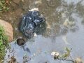 O local fica pr&oacute;ximo a uma &aacute;rea de mata ciliar que abriga diferentes esp&eacute;cies de animais silvestres.
