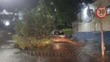Temporal que atingiu MS causa estragos em Nova Andradina