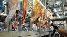 China vai comprar carne de mais 5 frigoríficos do MS; preço interno pode melhorar 
