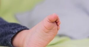 Assistente social relatou que os responsáveis colocaram a vida do recém-nascido em risco