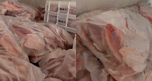 Cinco toneladas de pescado seriam lavados pra comércio da Capital