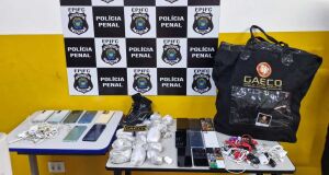A&ccedil;&atilde;o coordenada envolve investigadores de Mato Grosso do Sul, Santa Catarina, Rio Grande do Sul, Paran&aacute;, S&atilde;o Paulo e Minas Gerais
