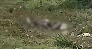 V&iacute;tima foi encontrada na tarde desta quarta-feira (9)