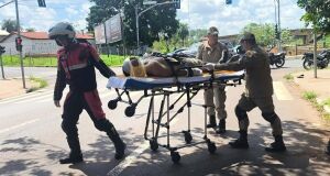 V&iacute;tima foi socorrida em estado grave e levada &agrave; Santa Casa
