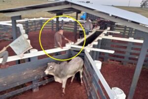Foto mostra assassino Paulo Cupertino trabalhando em fazenda em MS