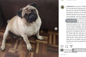 Casal é preso após pedir R$ 1 mil para devolver cachorro que tinha desaparecido