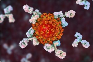Estudo aponta que anticorpos de quem teve covid-19 não protegem contra variante