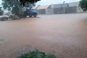 Vídeo: morador quer barco para andar em dia de chuva no Nova Campo Grande