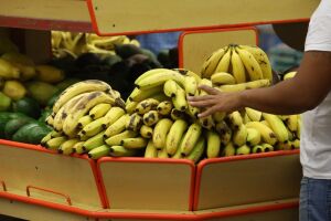 Banana sobe quase 30% em Campo Grande e junto da energia foi vilã da inflação em dezembro