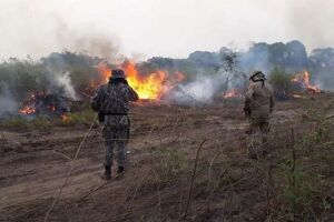 Pantanal viveu um dos seus piores momentos com as queimadas em 2020