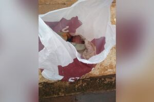 Recém-nascida é encontrada em saco plástico no Guanandi