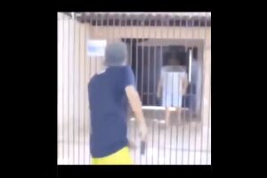 Vídeo: revoltado, youtuber dá tiros na casa de homem que chamou mãe dele de macaca