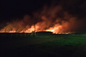 Incêndio consumiu mais de 40 hectares e mobilizou bombeiros perto do Aeroporto