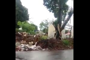 Vídeo: lixo, mato e presença de 'noias' levam moradora ao desespero no Marcos Roberto