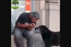 Vídeo: morador de rua divide o pouco lanche que tem com cachorrinhos e cena comove