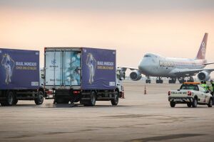 O voo com os insumos chegou hoje, no Aeroporto do Galeão