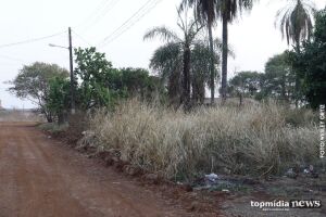 Ladrões são espancados e amarrados em mata no Jardim Petrópolis