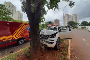 Parte frontal da camionete ficou destruída