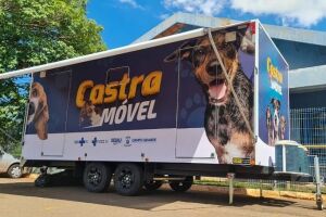 No novo espaço ocorrerá atendimento aos animais da cidade