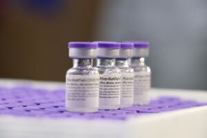 Brasil recebe 629 mil doses da vacina da Pfizer nesta quarta