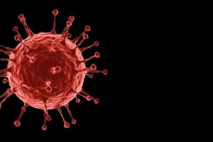 Quinta morte pela H3N2 foi confirmada nesta terça-feira