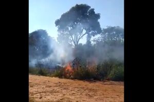Com tempo seco, moradora reclama de queimadas em Campo Grande
