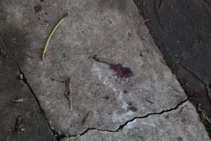 Marcas de sangue ficaram pelo chão. Imagem ilustrativa