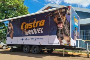 Cães vítimas de maus-tratos serão castrados pelo CCZ em Campo Grande
