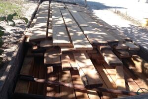 PMA apreende caminhão com carga de madeira ilegal e autua serraria em R$ 2,4 mil