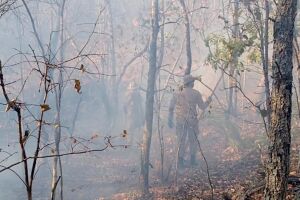 Incêndios florestais é a grande preocupação dos Bombeiros em MS