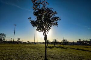 Em Campo Grande, o tempo fica firme com predomínio de sol