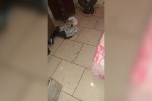 Pedreiro esfaqueia mulher e atinge bebê de 1 ano no Dom Antônio Barbosa