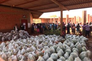 Ação entregou cestas e visa estruturar aldeias