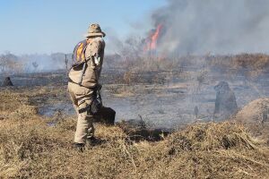 Entre resgates e socorros, Corpo de Bombeiros atuam em mais 7 mil incêndios em MS