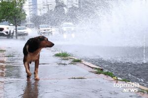 Previsão é de chuva para as últimas horas do ano em MS