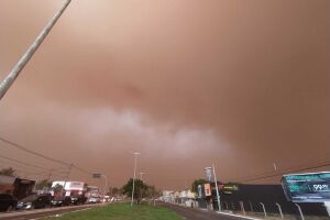 Dia vira noite, tempestade de areia cobre Campo Grande, derruba árvores e assusta moradores