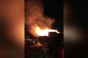 Vídeo: incêndio destrói madeireira na Manoel da Costa Lima