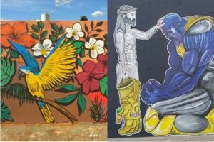 Arte de rua viralizou nos últimos dias em Campo Grande