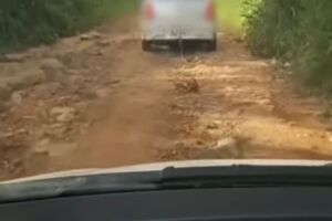 Cachorro foi arrastado em estrada de terra