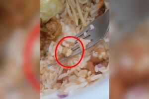 Larvas foram encontradas na marmitex enquanto a cliente almoçava