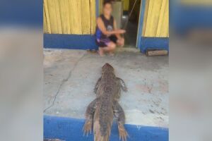 Animal foi encontrado morto pelo dono da fazenda