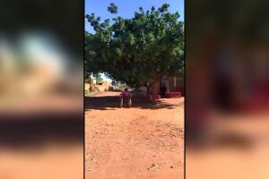 Homem teve dificuldades para seguir pelas ruas do bairro