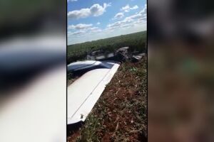 Avião caiu em uma região de plantação