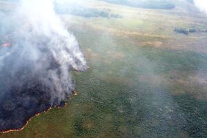 Incêndio está destruíndo o Parque Natural de Naviraí