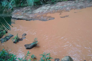 Córrego das Antas foi atingido pela lama